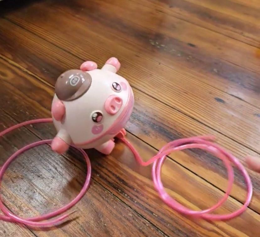 Tightrope Walking Tumbler Pig Toy for Kids | Balance Walking Pig Educational Toy