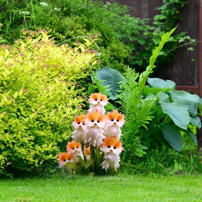 Group of decorative flowers with orange and white petals in a garden setting
