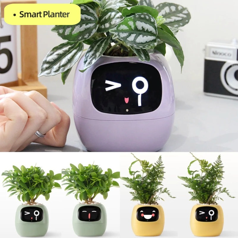 Smart planter with a face design on a white background